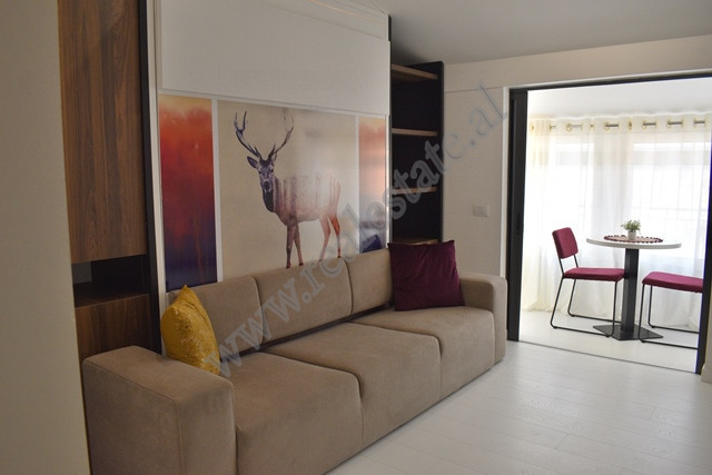 Studio apartment for sale in Frosina Plaku Street in Tirana, Albania.
It is located on the tenth an